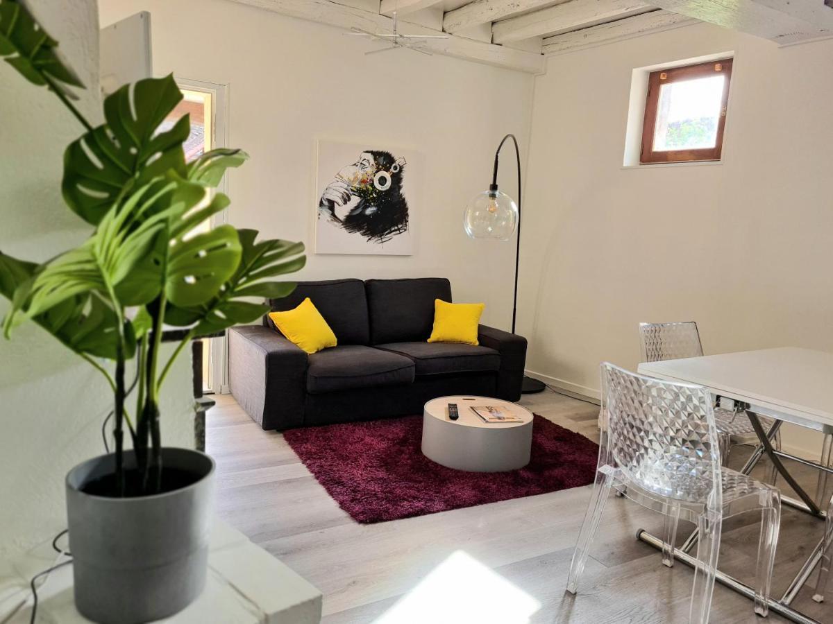 Maison Charme Avec Terrasse Hypercentre, Tres Calme Joigny Εξωτερικό φωτογραφία